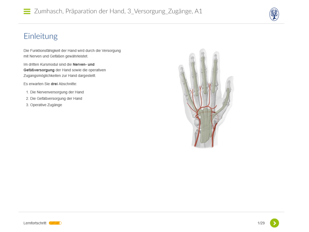 Präparation der Hand - 3. Versorgung und Zugänge