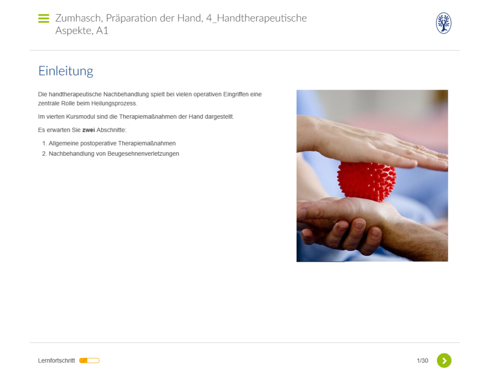 Präparation der Hand - 4. Handtherapie