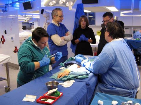 Präparation der Hand (4)