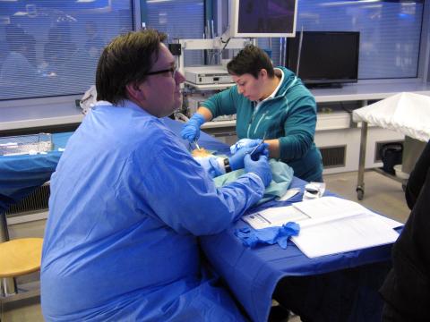 Präparation der Hand (5)