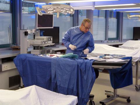 Präparation der Hand (9)