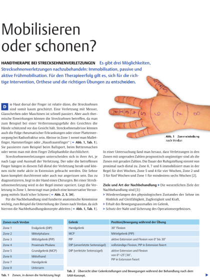 Handtherapie bei Strecksehnenverletzungen