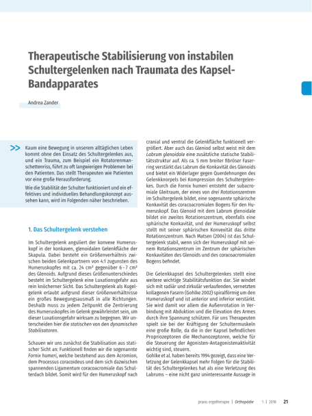 Schultergelenke – therapeutische Stabilisierung nach Traumata des Kapsel-Bandapparates