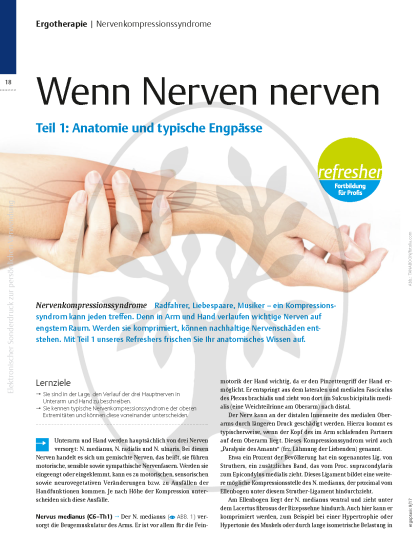 Wenn Nerven nerven – Nervenkompressionssyndrome, Teil 1