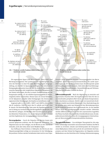 Wenn Nerven nerven – Nervenkompressionssyndrome, Teil 2