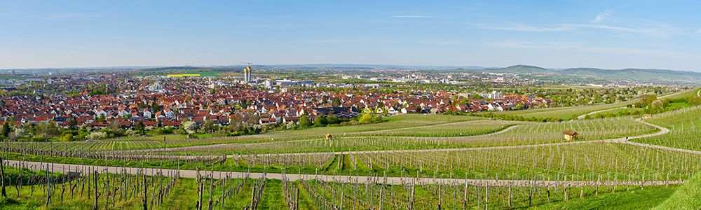 Standortfoto zur Handtherapie-Fortbildung in Fellbach