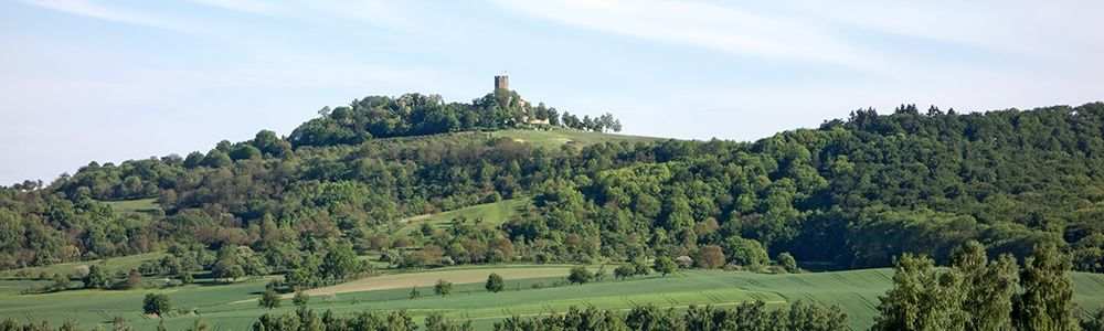 Standortfoto zur Handtherapie-Fortbildung in Schriesheim