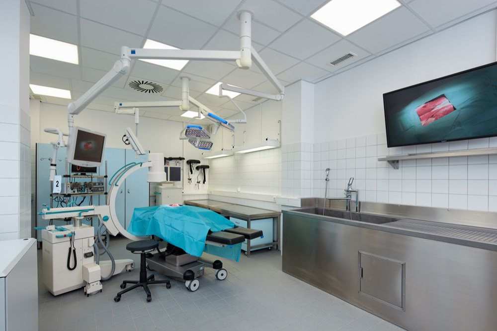 Impressionen der Anatomie-Fortbildung in Kiel.