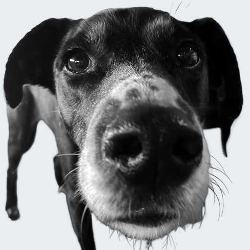 Stressmanagerin Maila – Wohlfühlmanagerin der AFH