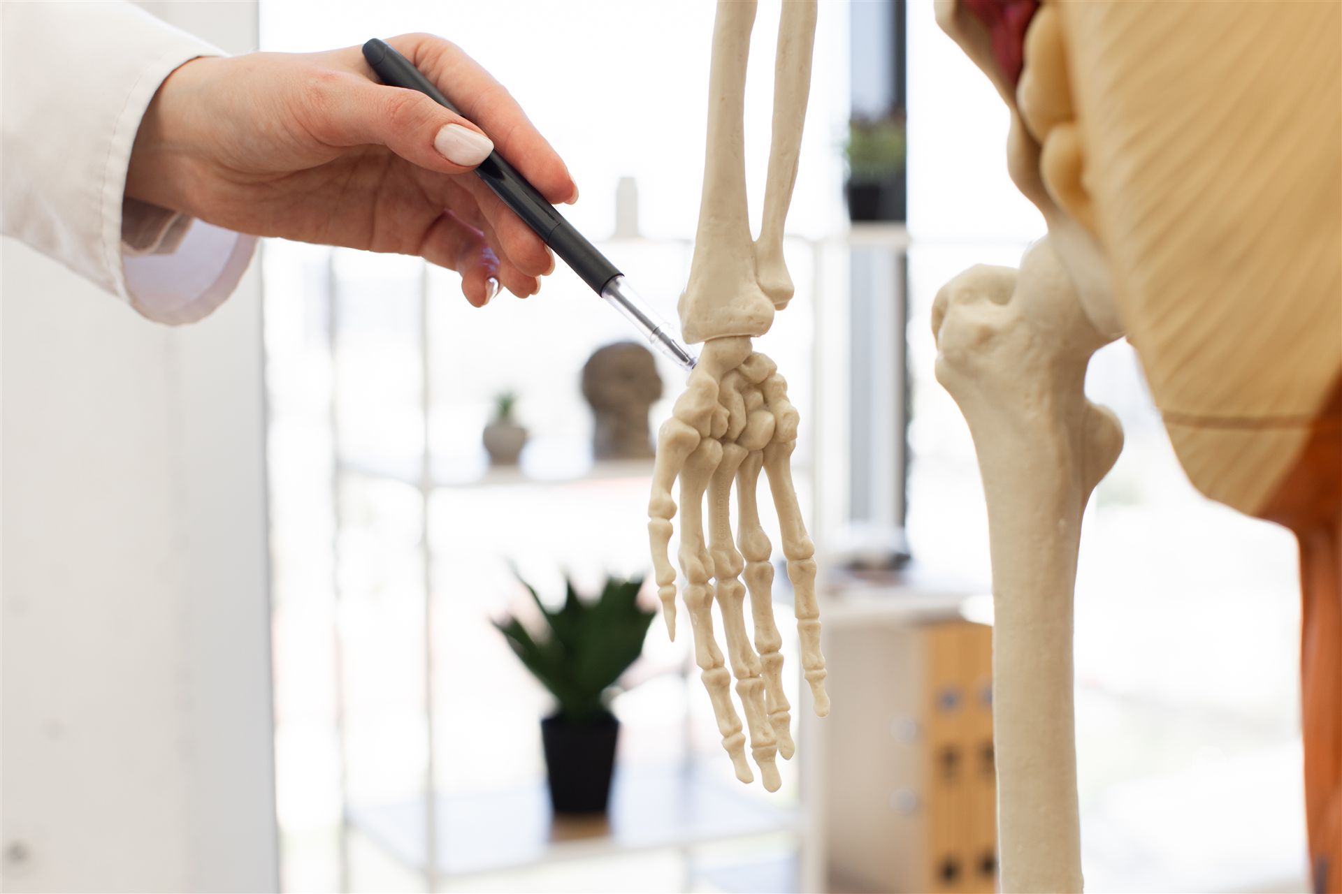 Kompetenzpraxis der AFH