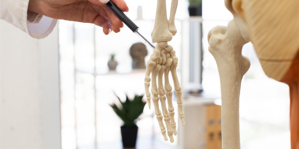 Kompetenzpraxis der AFH