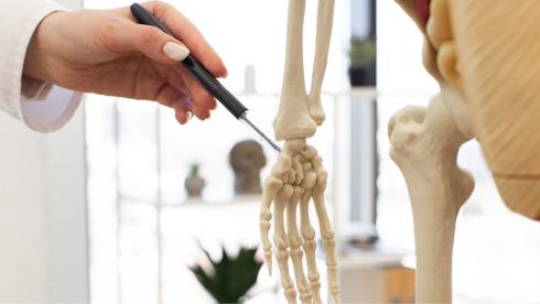 Kompetenzpraxis für Handtherapie – spezialisierte Behandlung für Ergo- und Physiotherapeuten