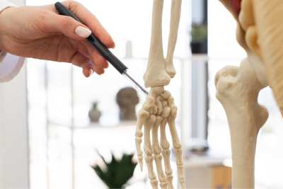 Kompetenzpraxis für Handtherapie – spezialisierte Behandlung für Ergo- und Physiotherapeuten