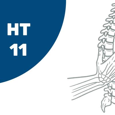 HT11 – Aufbaustufe Hand III: Hand und Wirbelsäule – Weiterbildung für Ergo- und Physiotherapeuten