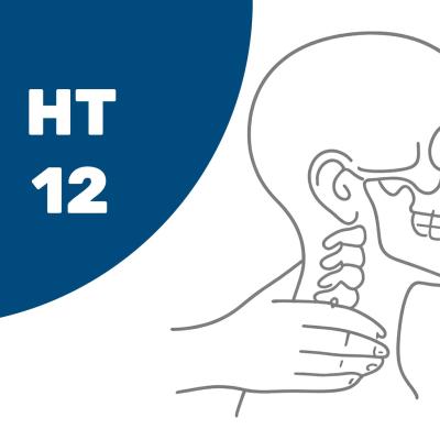 HT12 – Aufbaustufe Hand IV: Hand, HWS und Kiefergelenk – Weiterbildung für Ergo- und Physiotherapeuten