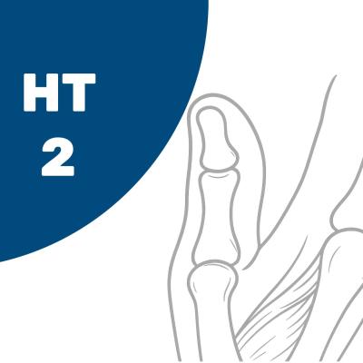 HT2 – Basiskurs Hand I: Finger- und Daumengelenke – Grundlagenweiterbildung für Ergo- und Physiotherapeuten