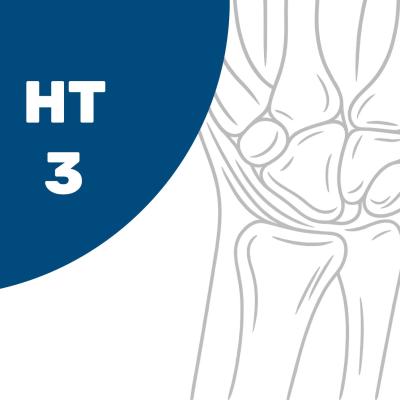 HT3 – Basiskurs Hand II: Hand- und Radioulnargelenk – Grundlagenweiterbildung für Ergo- und Physiotherapeuten