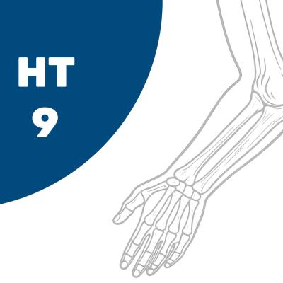 HT9 – Aufbaustufe Hand I: Hand und Ellenbogen – Weiterbildung für Ergo- und Physiotherapeuten