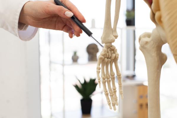 Pflichtseminare der Kompetenzstufen – strukturierte Weiterbildungsbausteine für Ergo- und Physiotherapeuten