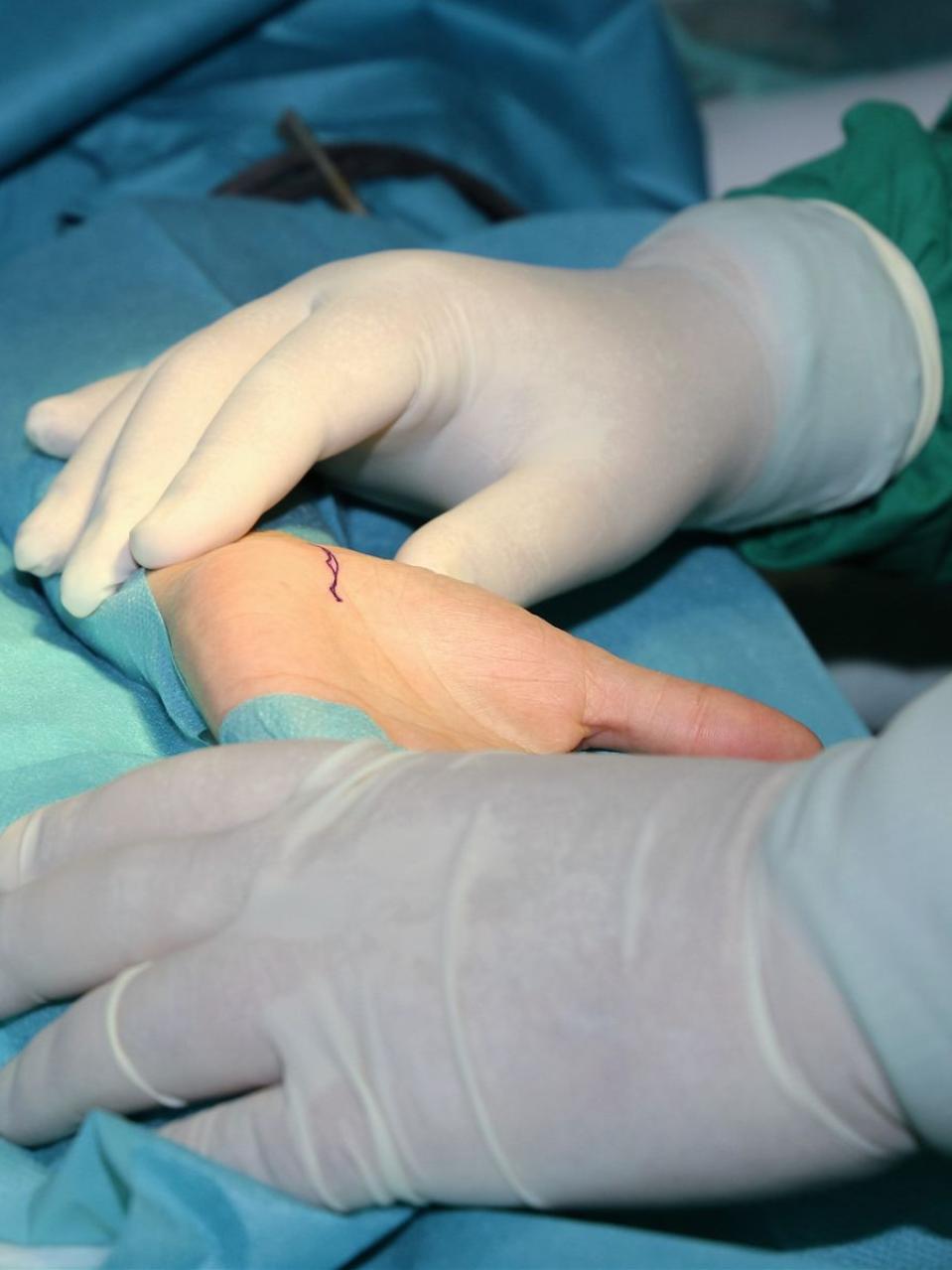 Anatomie am Präparat