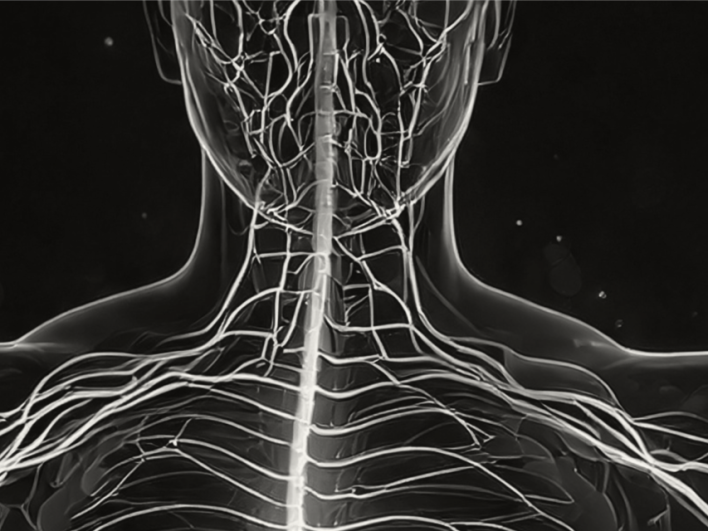 Grafische Darstellung des Vagusnervs und seiner Rolle bei der Modulation von Entzündungsprozessen bei Rheumatoider Arthritis