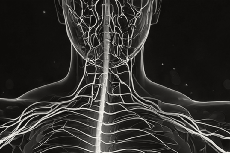 Grafische Darstellung des Vagusnervs und seiner Rolle bei der Modulation von Entzündungsprozessen bei Rheumatoider Arthritis