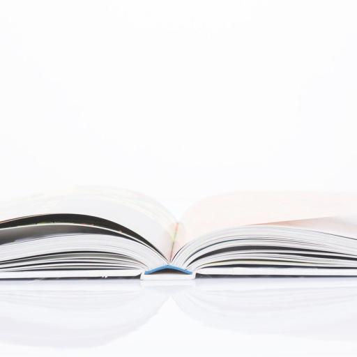 Fachliches-Veröffentlichungen